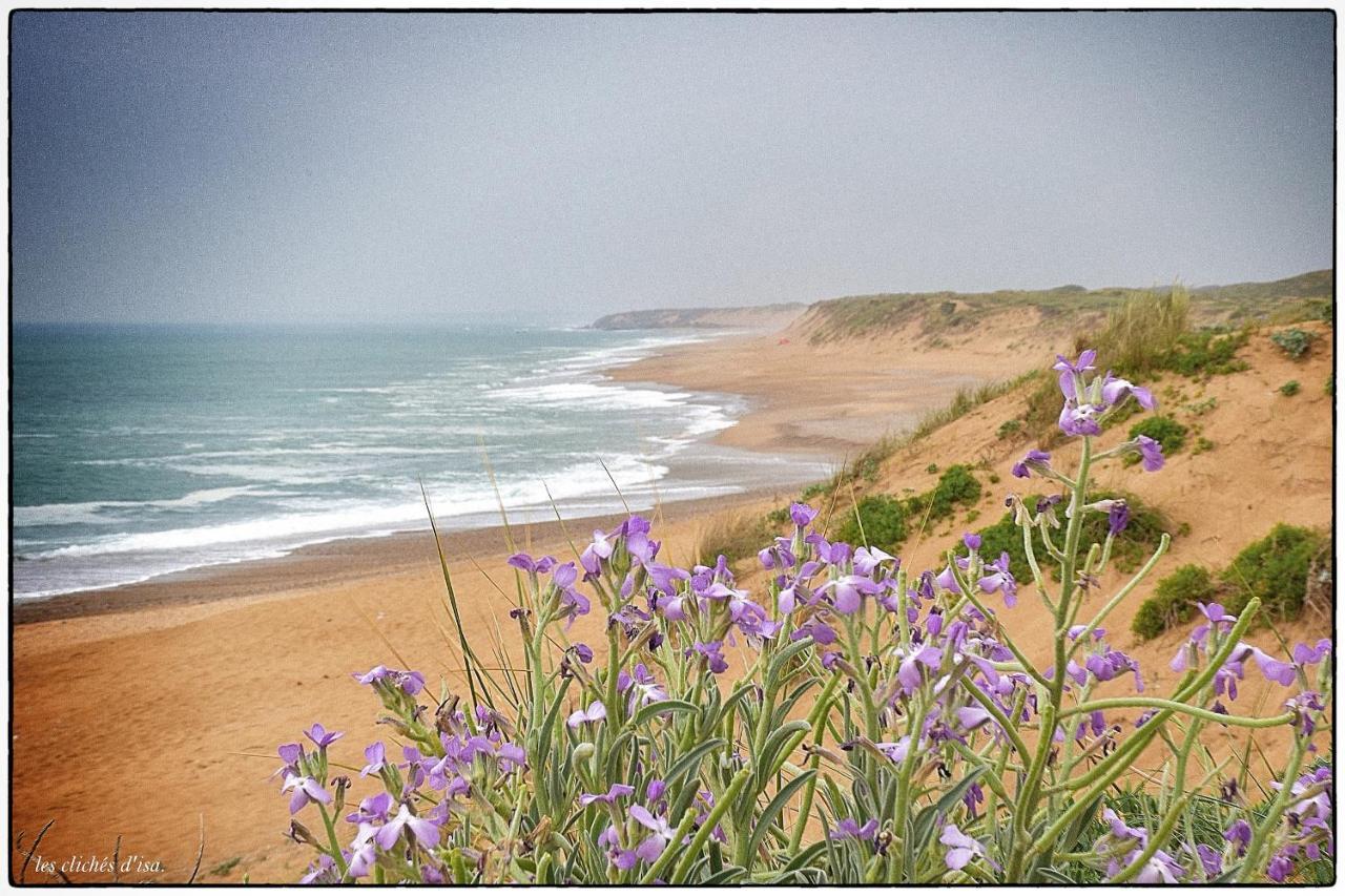 La Calypsette - Face Grande Plage Des Sables D'Olonne Les Sables-dʼOlonne Exterior foto